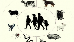 بیماریهای مشترک بین انسان و حیوانات