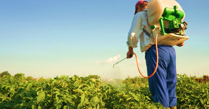 آیین نامه حفاظتی کار با سموم دفع آفات نباتی در کشاورزی