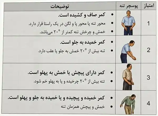 ارزیابی کل بدن به روش OWAS 4 توصیف کدهای چهارگانه برای پوسچرهای تنه