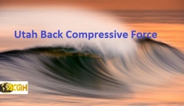 Utah Back Compressive Force