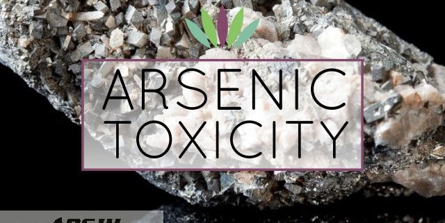 Arsenic-Toxicity سم شناسی آرسنیک
