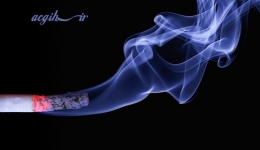 بررسی سیگار در سمیت مواد