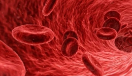 بیماری های خون و سیستم خونساز