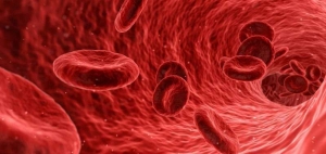 بیماری های خون و سیستم خونساز