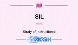 ارزیابی سطح ایمنی عملکردی (SIL Study) برای کنترل ایمنی سیستم های صنعتی