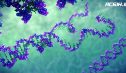 بررسی تعیین توالی و ثبت ژن در مطالعات مرتبط با ایمنی، بهداشت و محیط زیست
