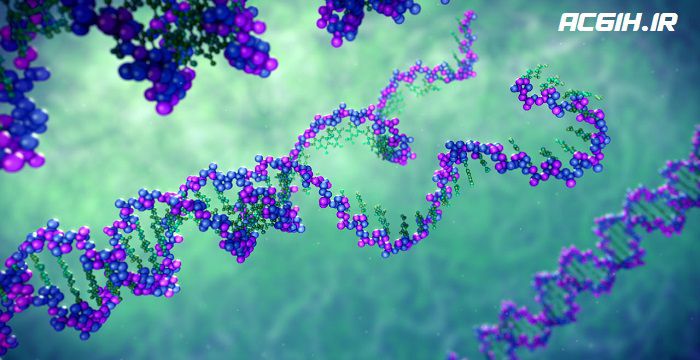 بررسی تعیین توالی و ثبت ژن در مطالعات مرتبط با ایمنی، بهداشت و محیط زیست