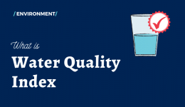 بررسی شاخص کیفیت آب (WQI) و ارزیابی ریسک بهداشتی نیترات و فلوراید در آب و چای مصرفی