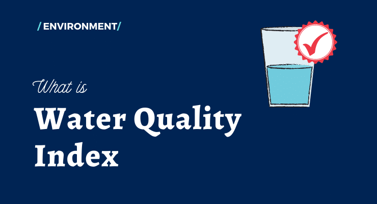 بررسی شاخص کیفیت آب (WQI) و ارزیابی ریسک بهداشتی نیترات و فلوراید در آب و چای مصرفی