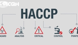 سیستم تجزیه و تحلیل خطر و نقاط کنترل بحرانی در مواد غذایی HACCP