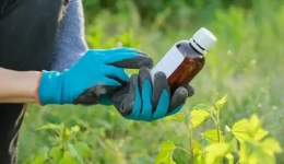 سم شناسی و مسمومیت علف کش ها (تشخیص و درمان) 1 سم شناسی و مسمومیت علف کش ها (تشخیص و درمان)