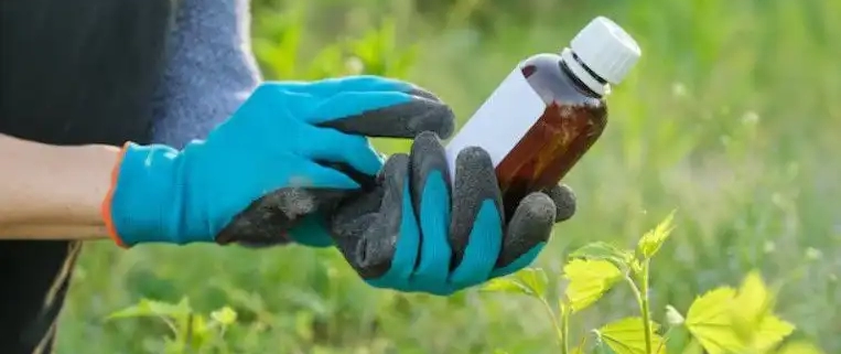 سم شناسی و مسمومیت علف کش ها (تشخیص و درمان) 1 سم شناسی و مسمومیت علف کش ها (تشخیص و درمان)