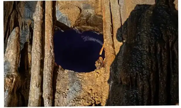 سقوط به داخل چاه